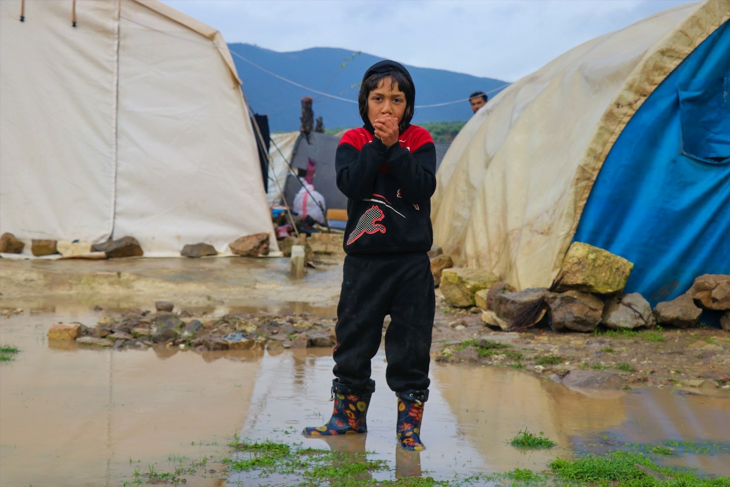 Stories of Resilience: Reclaiming Independence After Forced Displacement